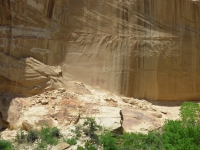 Pictographs  at Calf Creek